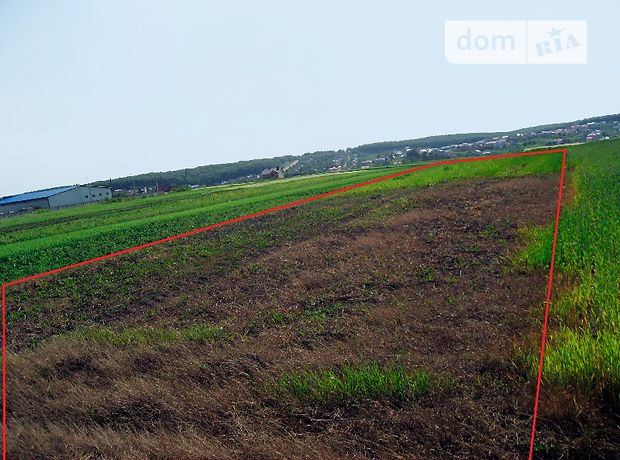 Земля сельскохозяйственного назначения в селе Подгородное, площадь 14 соток фото 1 Земля сельскохозяйственного назначения в селе Подгородное, площадь 14 соток фото 1