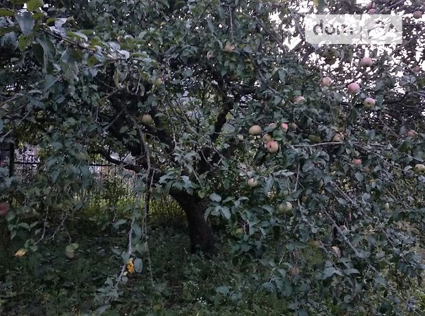 Продажа земли сельскохозяйственного назначения, Тернополь, c. Подгородное Продажа земли сельскохозяйственного назначения, Тернополь, c. Подгородное