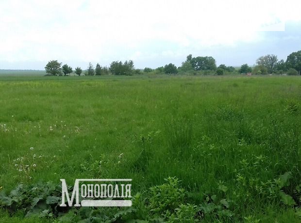 Земля сельскохозяйственного назначения в селе Великая Лука, площадь 56 соток фото 1 Земля сельскохозяйственного назначения в селе Великая Лука, площадь 56 соток фото 1