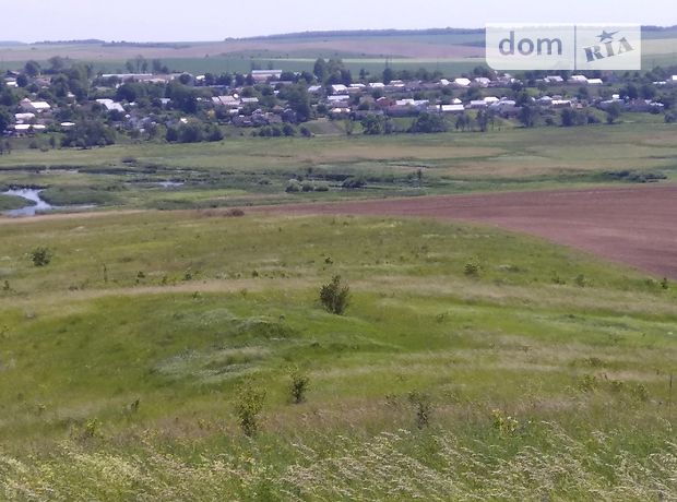 Земля сельскохозяйственного назначения в селе Великий Глубочек, площадь 10 соток фото 1 Земля сельскохозяйственного назначения в селе Великий Глубочек, площадь 10 соток фото 1