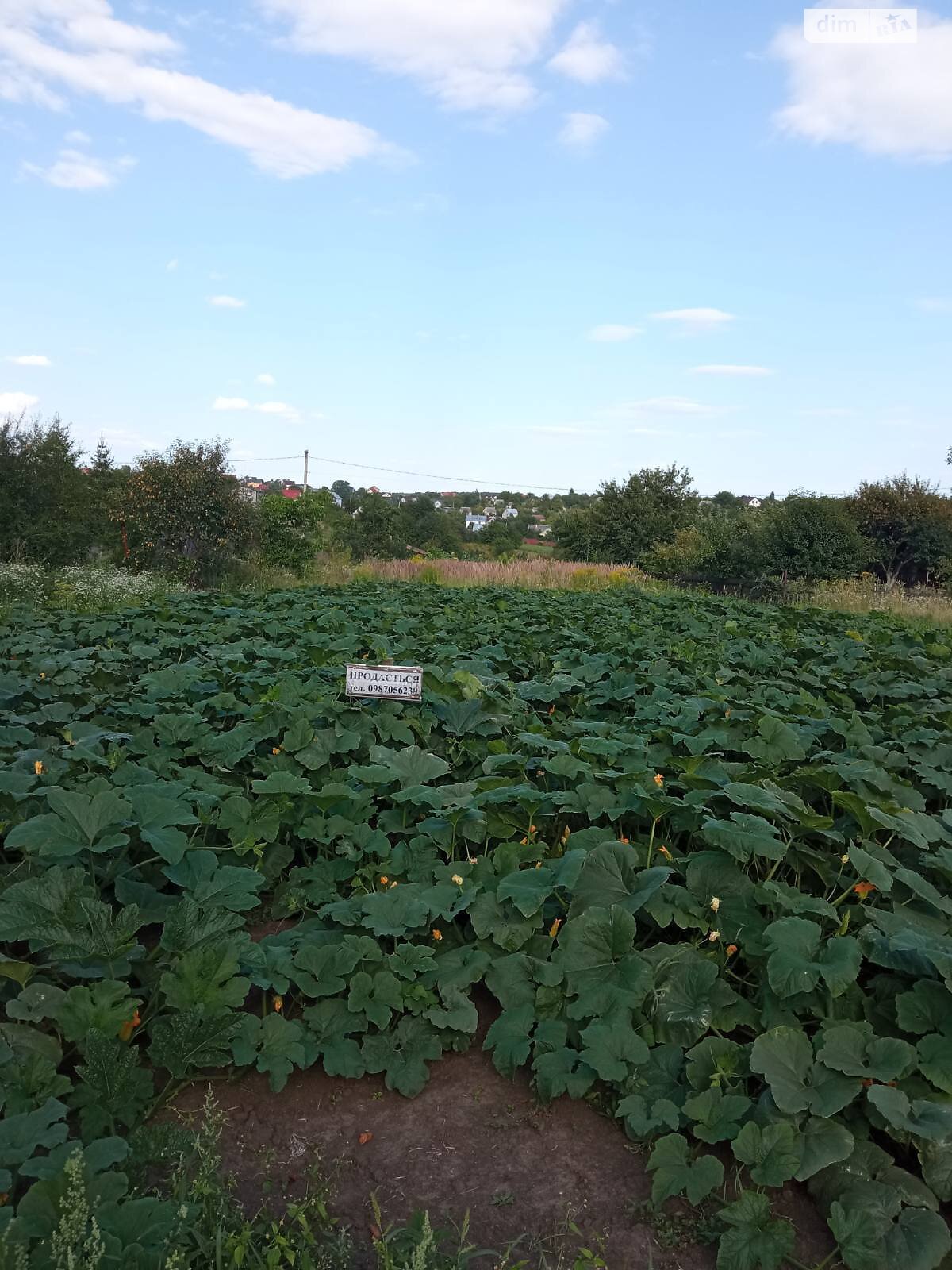 Земельный участок сельскохозяйственного назначения в Тернополе, площадь 0.06 Га фото 1