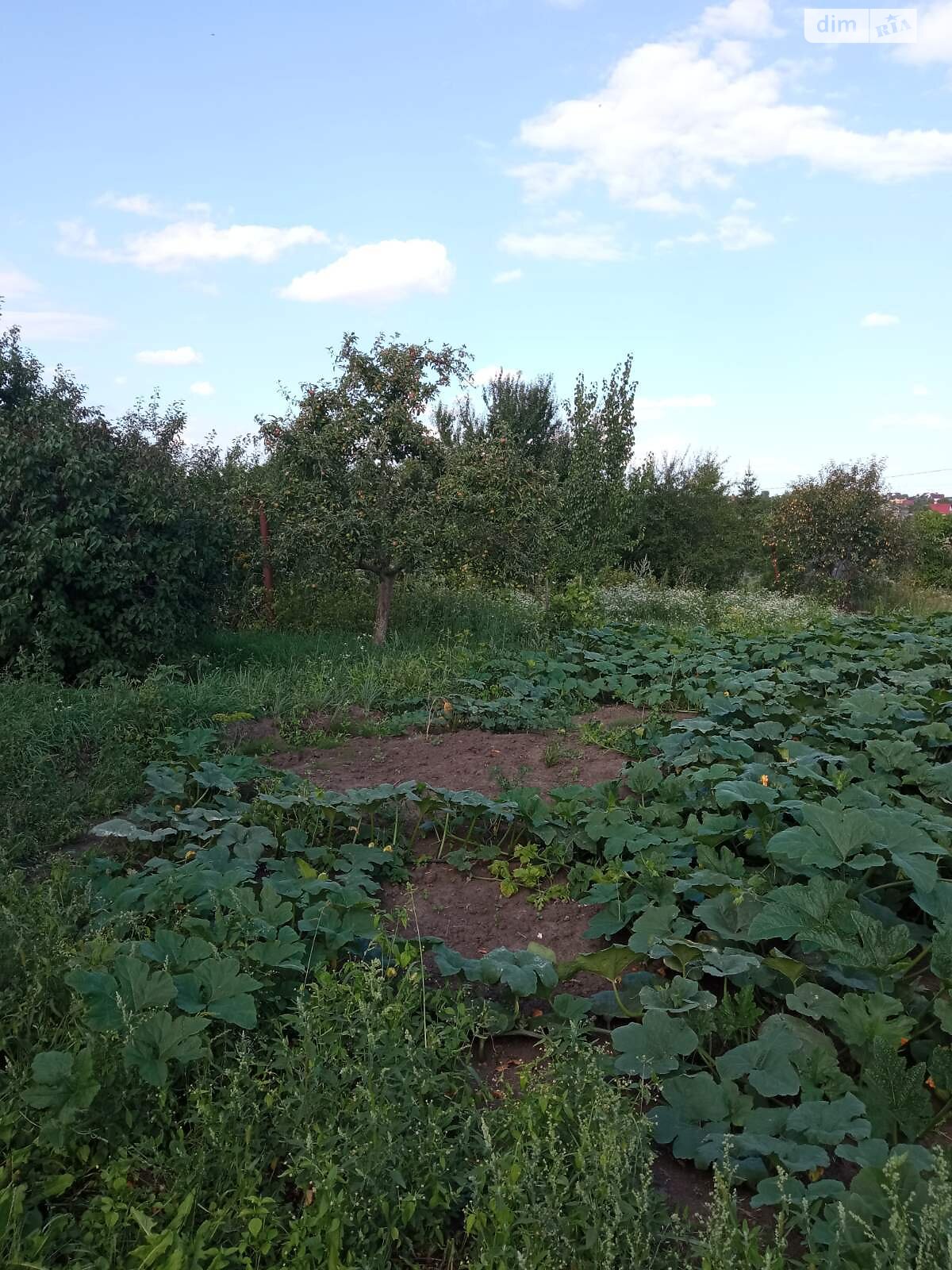 Земельный участок сельскохозяйственного назначения в Тернополе, площадь 0.06 Га фото 1