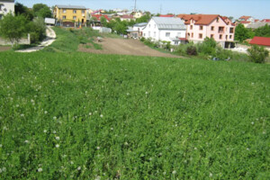 Земельный участок сельскохозяйственного назначения в Тернополе, площадь 27 соток фото 2 Земельный участок сельскохозяйственного назначения в Тернополе, площадь 27 соток фото 2