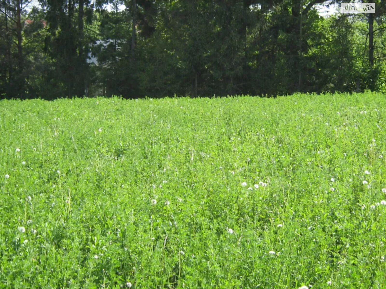 Земельный участок сельскохозяйственного назначения в Тернополе, площадь 27 соток фото 1 Земельный участок сельскохозяйственного назначения в Тернополе, площадь 27 соток фото 1