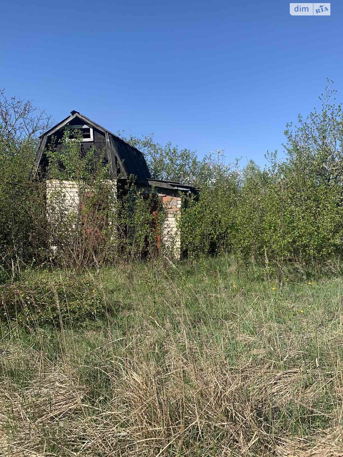 Земельна ділянка сільськогосподарського призначення в Тиранівці, площа 10 соток фото 1 Земельна ділянка сільськогосподарського призначення в Тиранівці, площа 10 соток фото 1