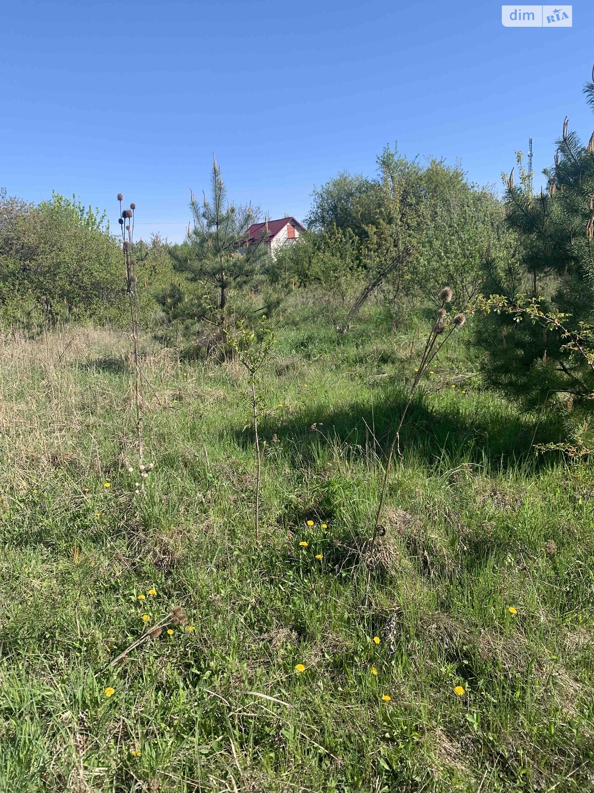 Земельна ділянка сільськогосподарського призначення в Тиранівці, площа 10 соток фото 1 Земельна ділянка сільськогосподарського призначення в Тиранівці, площа 10 соток фото 1