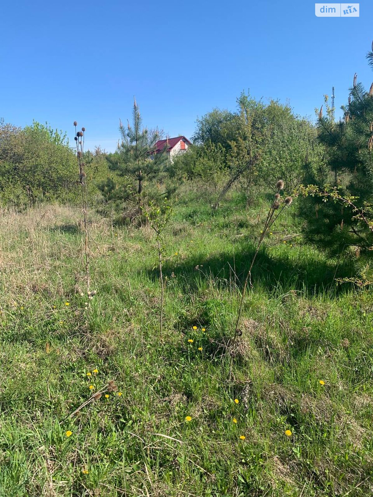 Земельна ділянка сільськогосподарського призначення в Тиранівці, площа 10 соток фото 1 Земельна ділянка сільськогосподарського призначення в Тиранівці, площа 10 соток фото 1