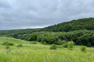 Земельна ділянка сільськогосподарського призначення в Тисовці, площа 99 соток фото 2