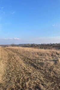 Земельный участок сельскохозяйственного назначения в Толстолуге, площадь 28 соток фото 2