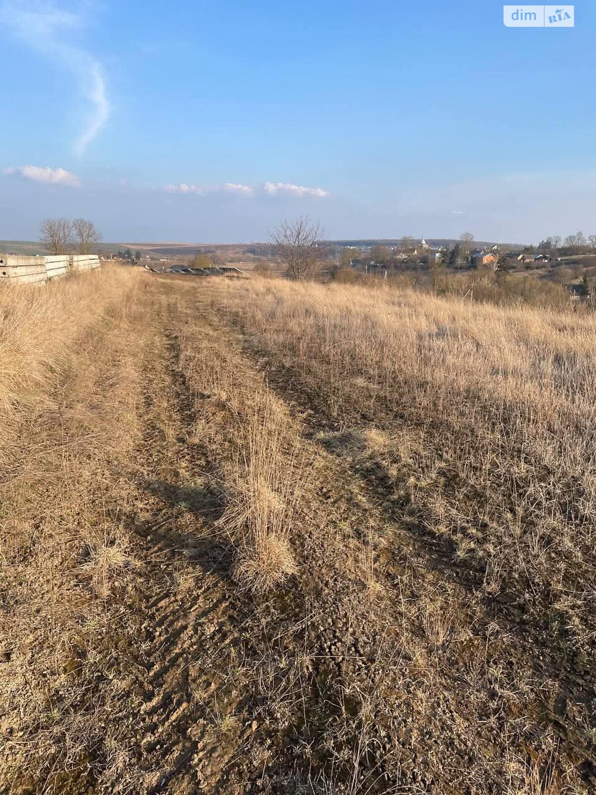 Земельна ділянка сільськогосподарського призначення в Толстолузі, площа 28 соток фото 1 Земельна ділянка сільськогосподарського призначення в Толстолузі, площа 28 соток фото 1
