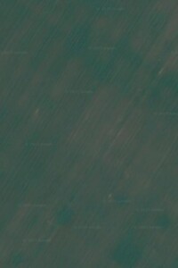 Земельна ділянка сільськогосподарського призначення в Топилівці, площа 1.8721 Га фото 1 Земельна ділянка сільськогосподарського призначення в Топилівці, площа 1.8721 Га фото 1