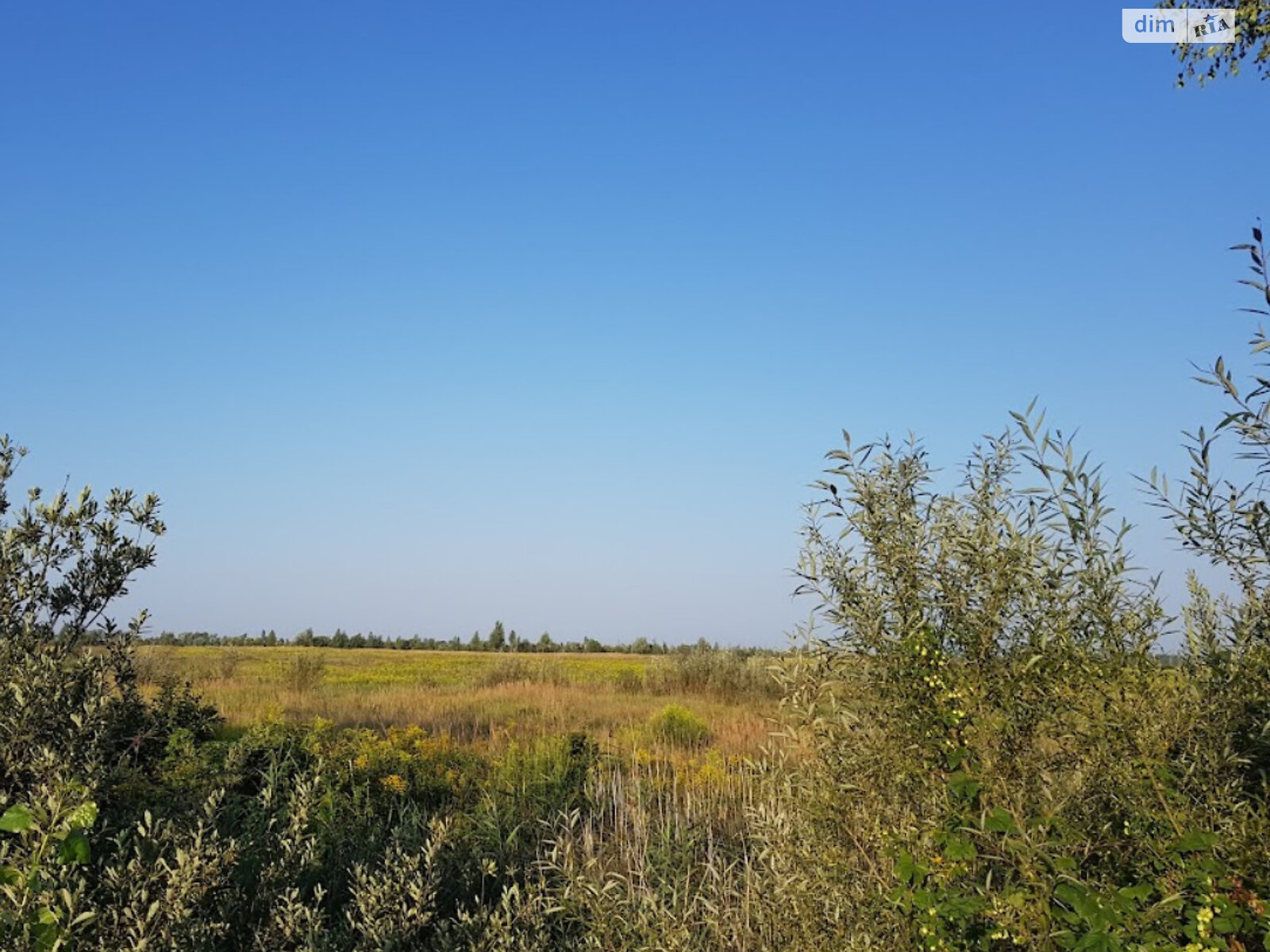 Земельна ділянка сільськогосподарського призначення в Торф’яному, площа 2 Га фото 1