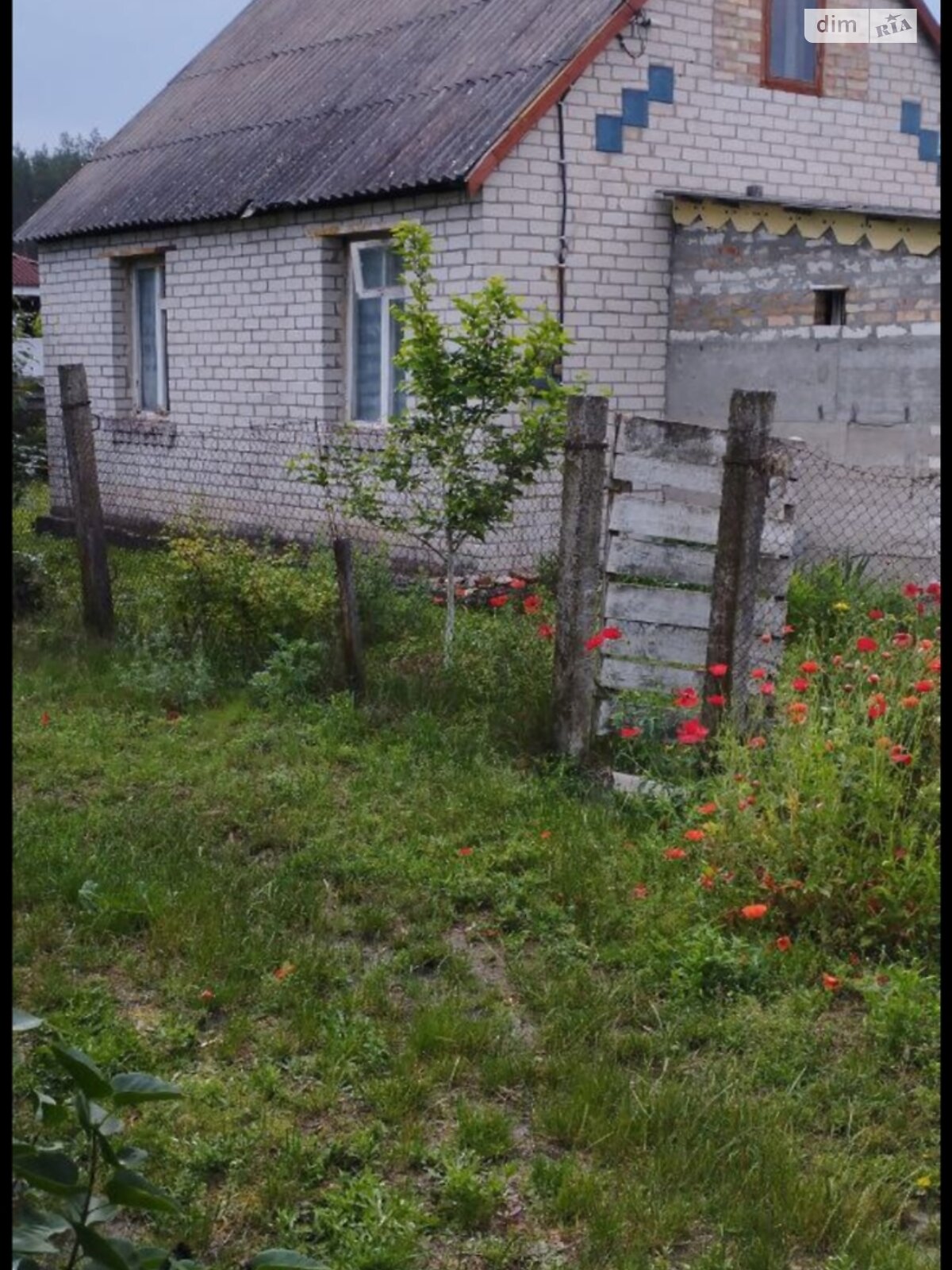 Земельный участок сельскохозяйственного назначения в Галинке, площадь 5.16 сотки фото 1 Земельный участок сельскохозяйственного назначения в Галинке, площадь 5.16 сотки фото 1