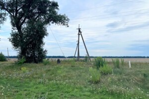 Земельный участок сельскохозяйственного назначения в Требухове, площадь 190 соток фото 2