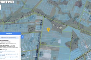 Земельный участок сельскохозяйственного назначения в Требухове, площадь 2.97 Га фото 2