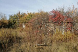 Земельна ділянка сільськогосподарського призначення в Гоголеві, площа 6.79 сотки фото 2