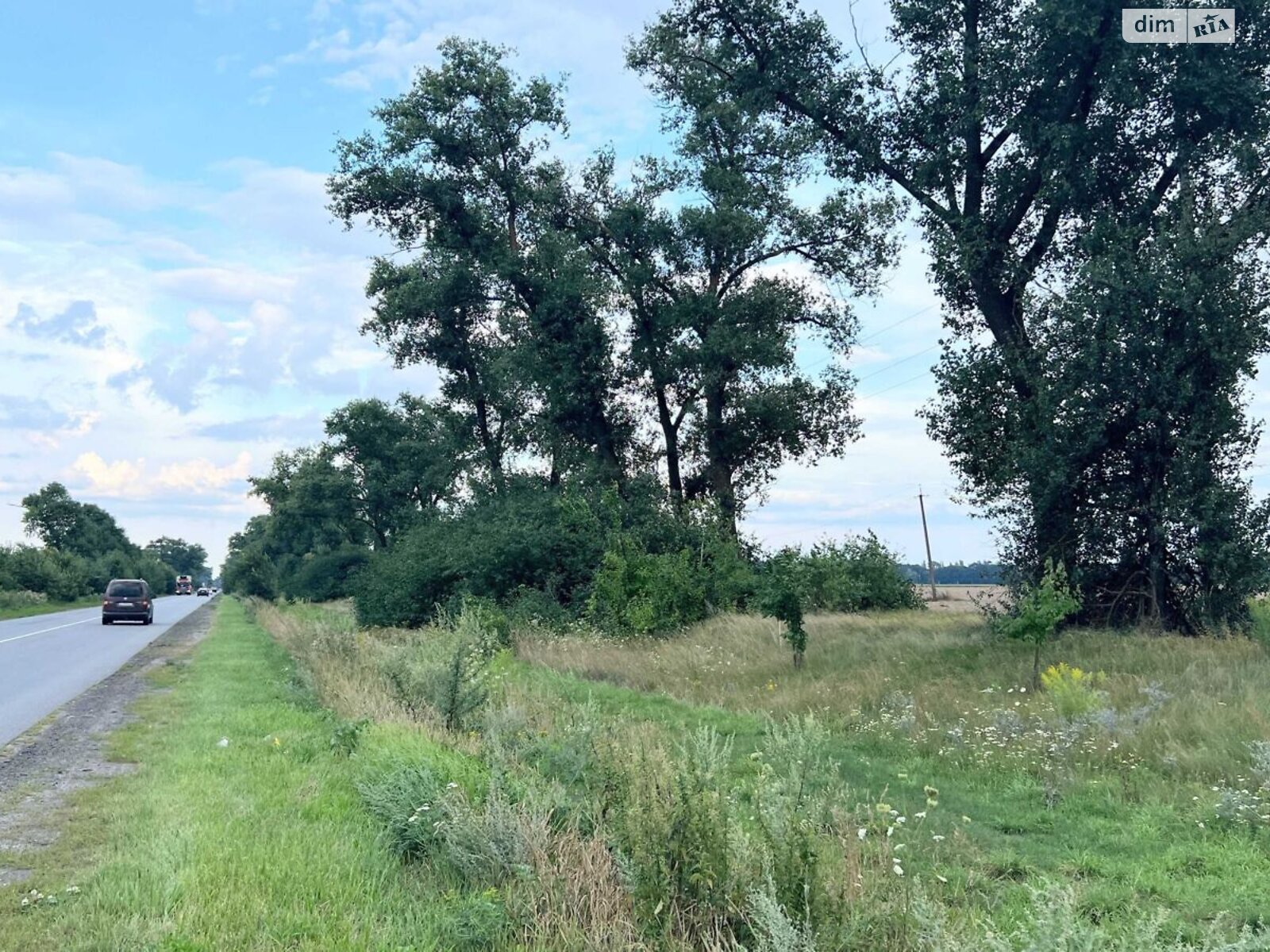 Земельна ділянка сільськогосподарського призначення в Требухові, площа 190 соток фото 1 Земельна ділянка сільськогосподарського призначення в Требухові, площа 190 соток фото 1
