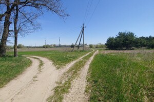 Земельна ділянка сільськогосподарського призначення в Три Копці, площа 64 сотки фото 2