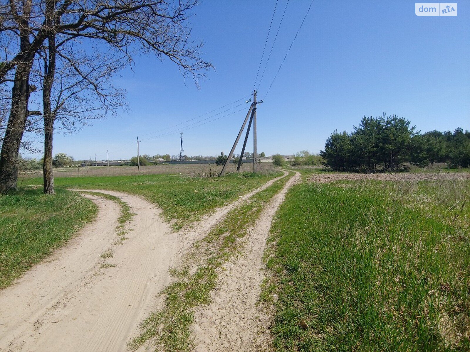 Земельна ділянка сільськогосподарського призначення в Три Копці, площа 64 сотки фото 1