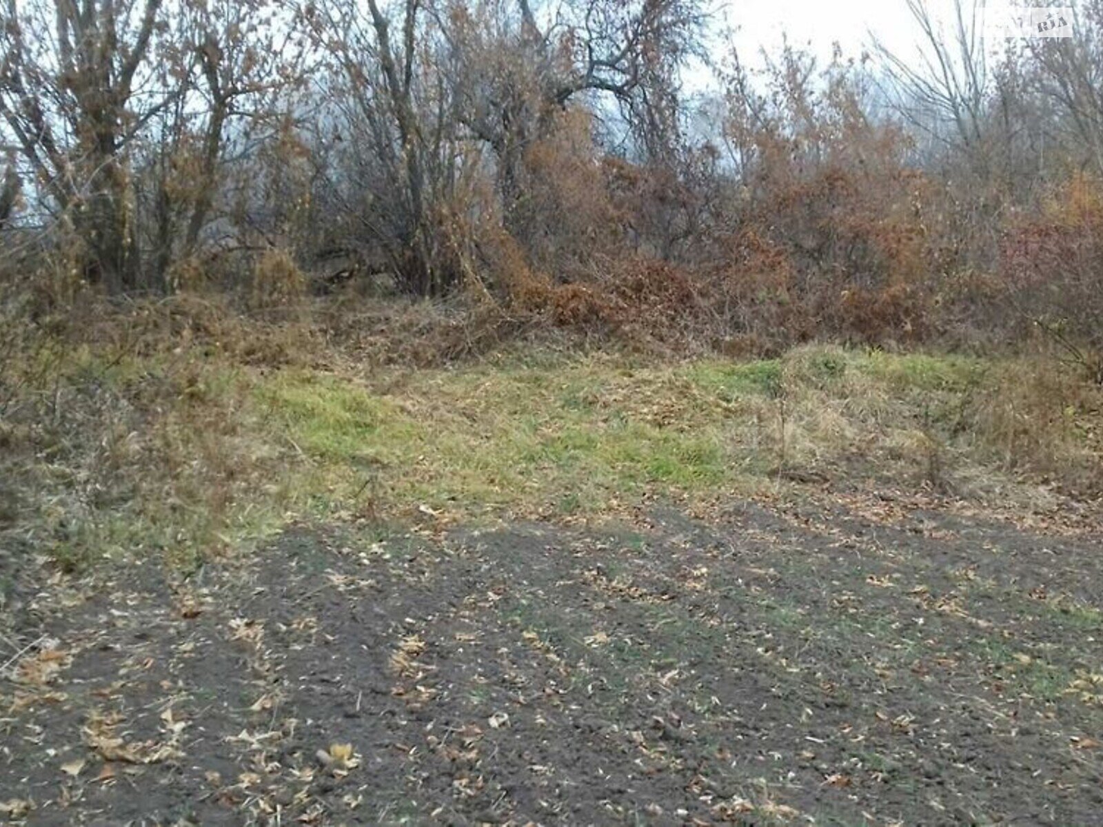 Земельный участок сельскохозяйственного назначения в Тростинке, площадь 12 соток фото 1 Земельный участок сельскохозяйственного назначения в Тростинке, площадь 12 соток фото 1