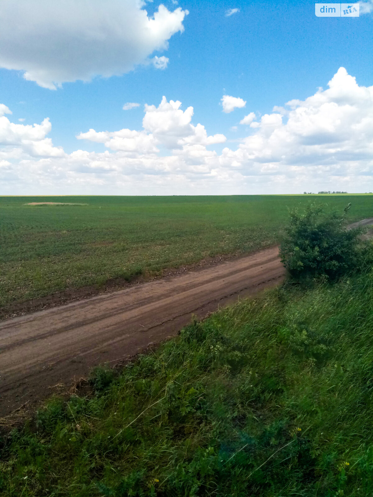 Земельна ділянка сільськогосподарського призначення в Трубіївці, площа 14.5 Га фото 1