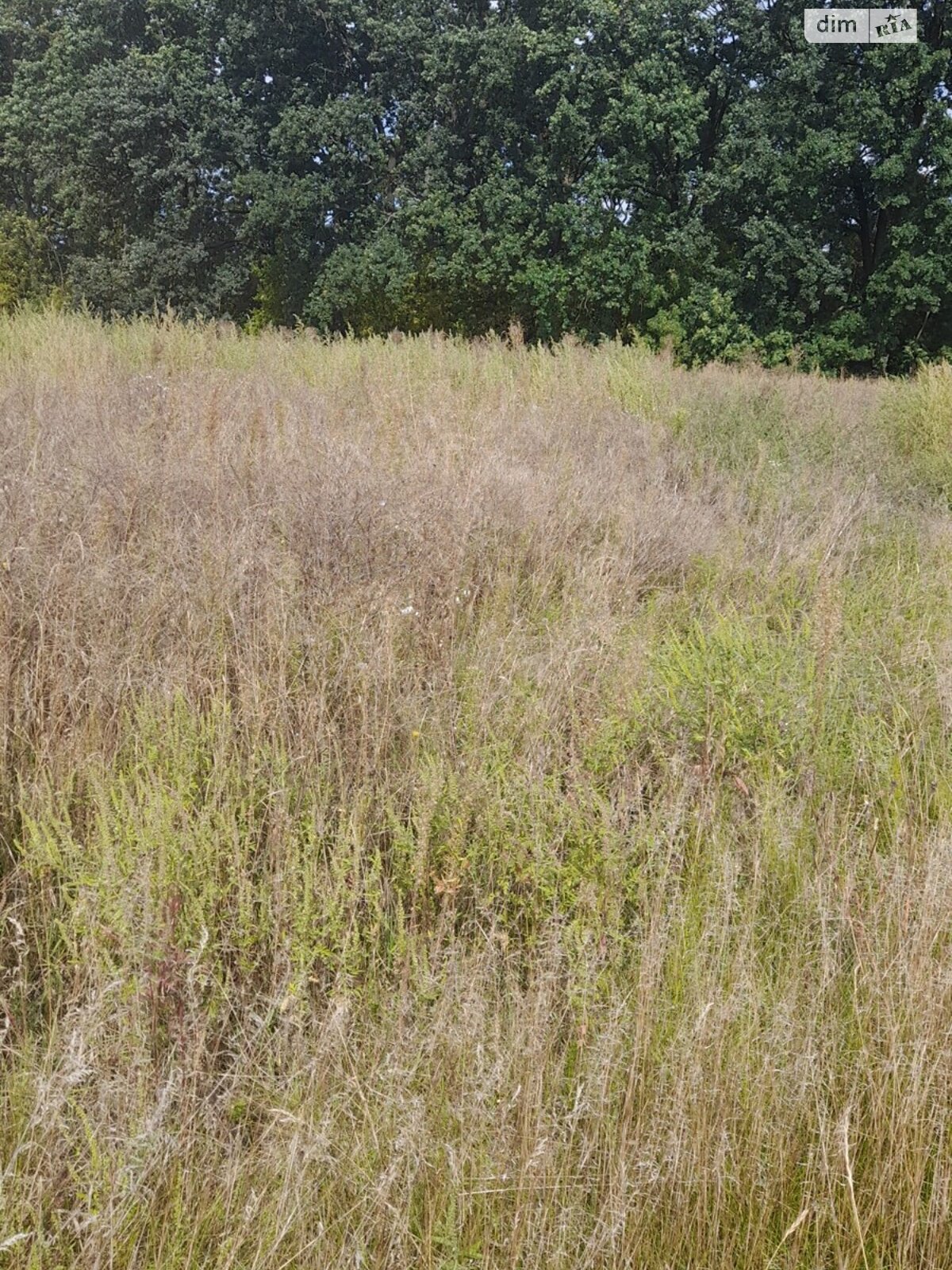 Земельна ділянка сільськогосподарського призначення в Трушках, площа 10 соток фото 1 Земельна ділянка сільськогосподарського призначення в Трушках, площа 10 соток фото 1