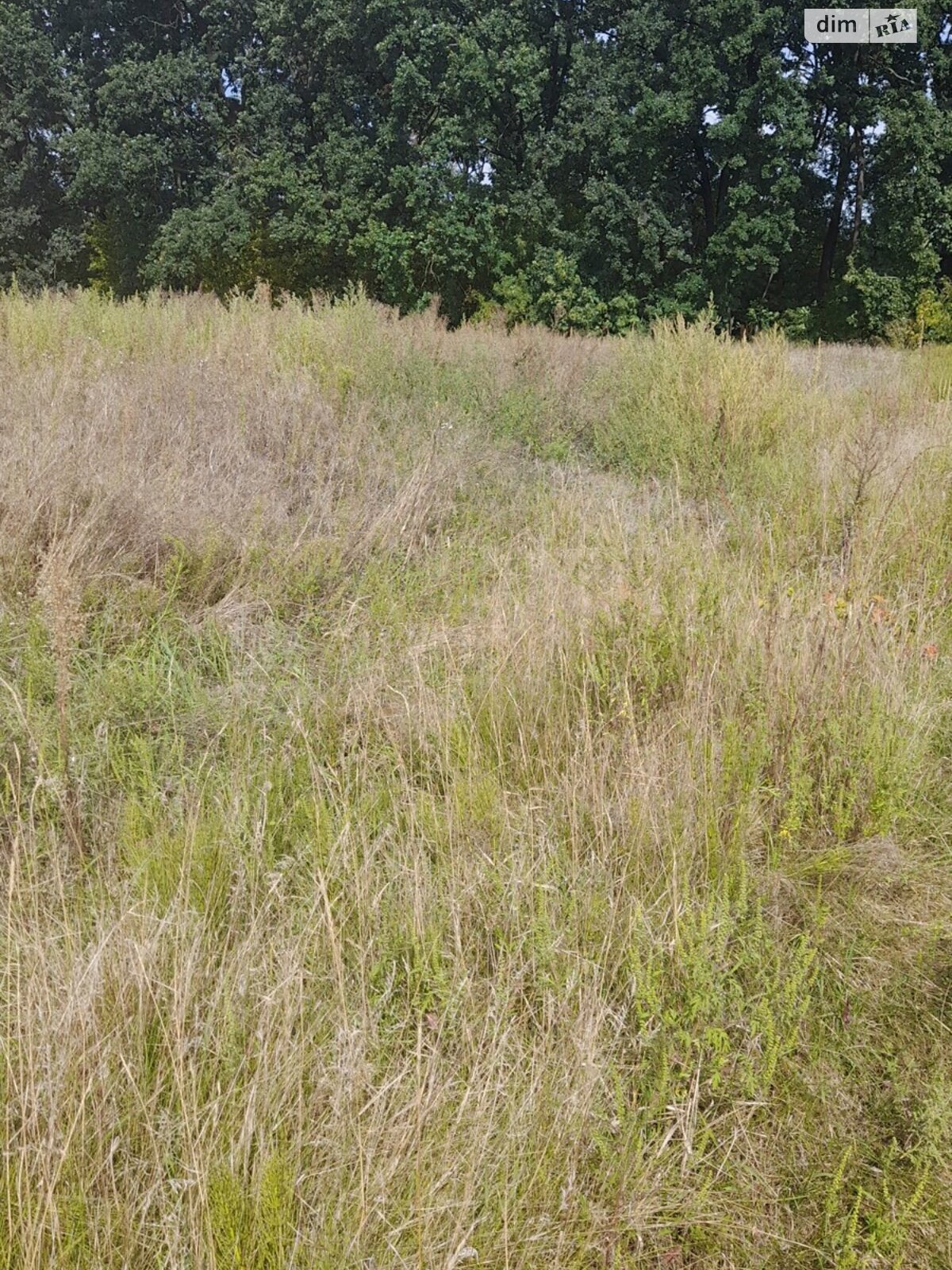 Земельна ділянка сільськогосподарського призначення в Трушках, площа 10 соток фото 1 Земельна ділянка сільськогосподарського призначення в Трушках, площа 10 соток фото 1