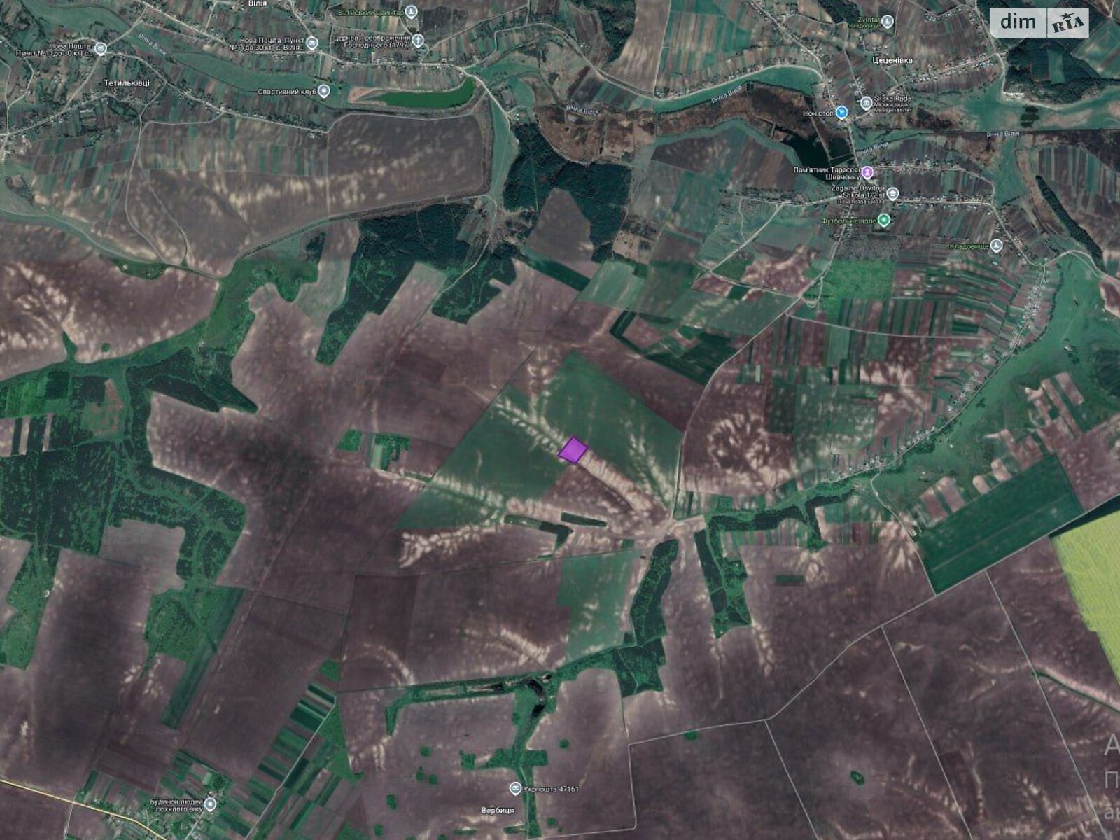 Земельна ділянка сільськогосподарського призначення в Цеценівці, площа 1.5115 Га фото 1 Земельна ділянка сільськогосподарського призначення в Цеценівці, площа 1.5115 Га фото 1