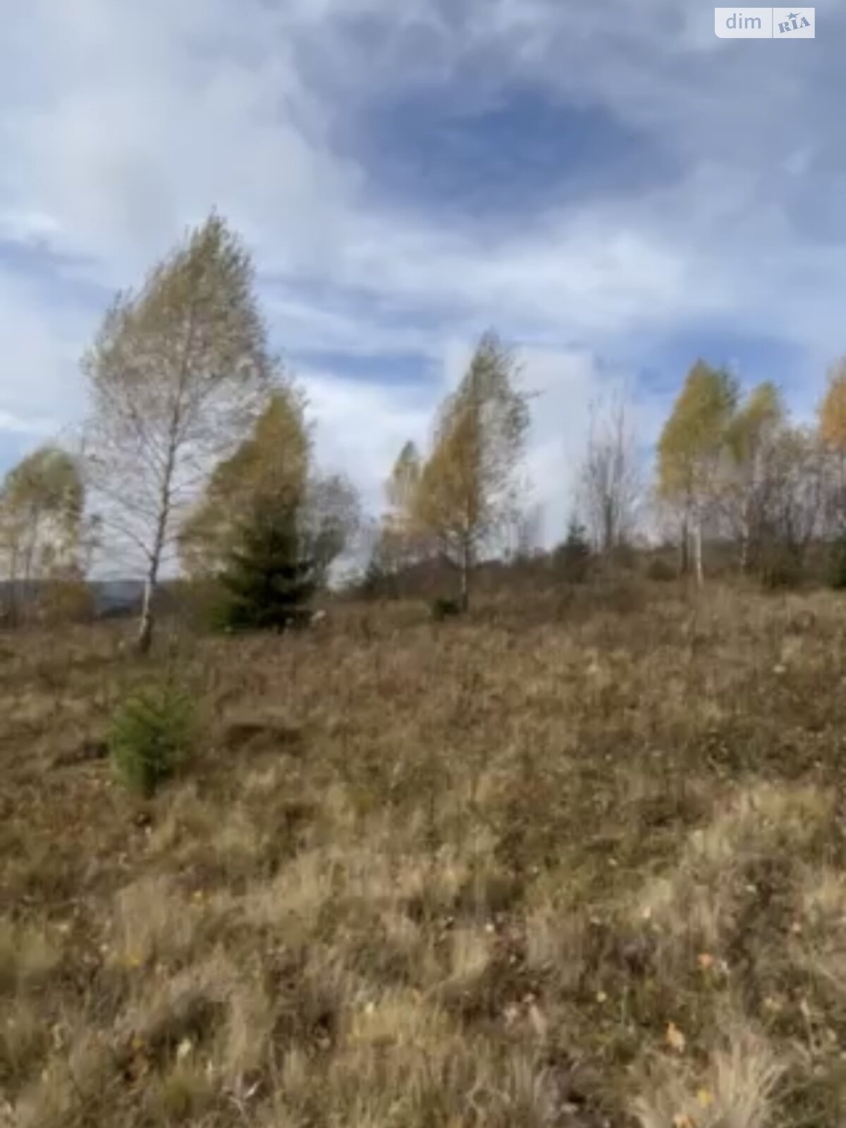 Земельный участок сельскохозяйственного назначения в Тухле, площадь 1 Га фото 1