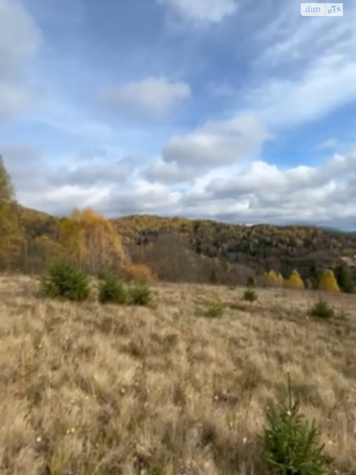 Земельный участок сельскохозяйственного назначения в Тухле, площадь 1 Га фото 1