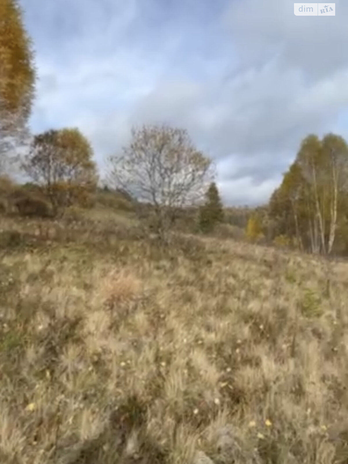 Земельный участок сельскохозяйственного назначения в Тухле, площадь 1 Га фото 1