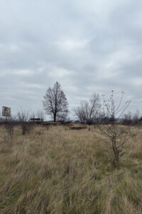 Земля сельскохозяйственного назначения в Тячеве, площадь 15 соток фото 2 Земля сельскохозяйственного назначения в Тячеве, площадь 15 соток фото 2