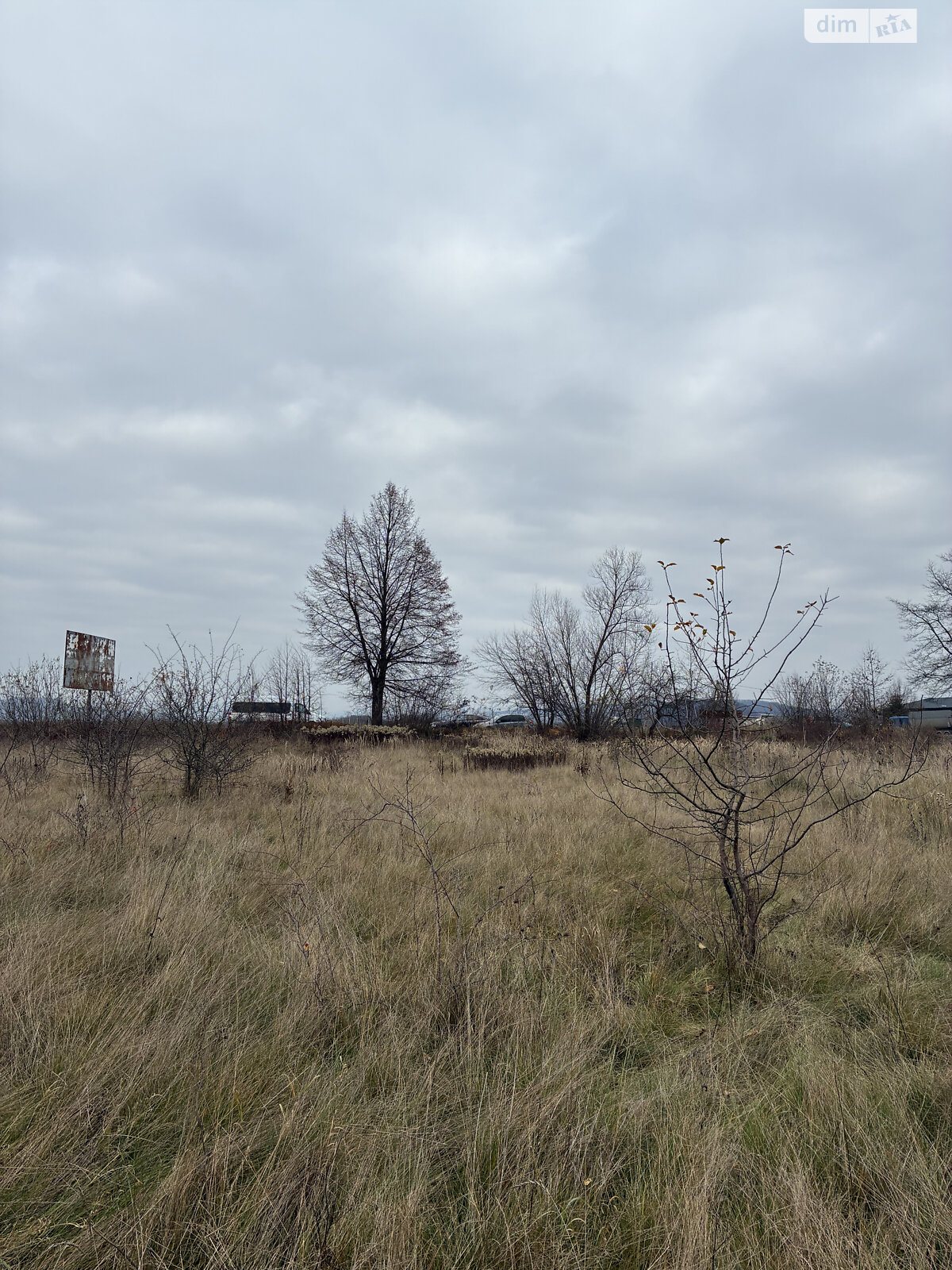 Земля сельскохозяйственного назначения в Тячеве, площадь 15 соток фото 1 Земля сельскохозяйственного назначения в Тячеве, площадь 15 соток фото 1
