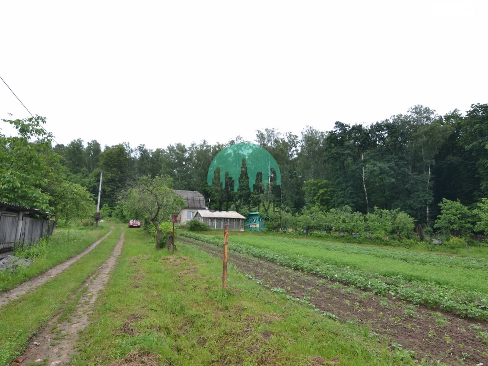 Земельна ділянка сільськогосподарського призначення в Тязові, площа 6 соток фото 1