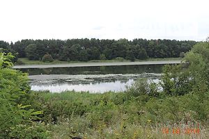 Земельный участок сельскохозяйственного назначения в Ворошиловке, площадь 35 соток фото 1