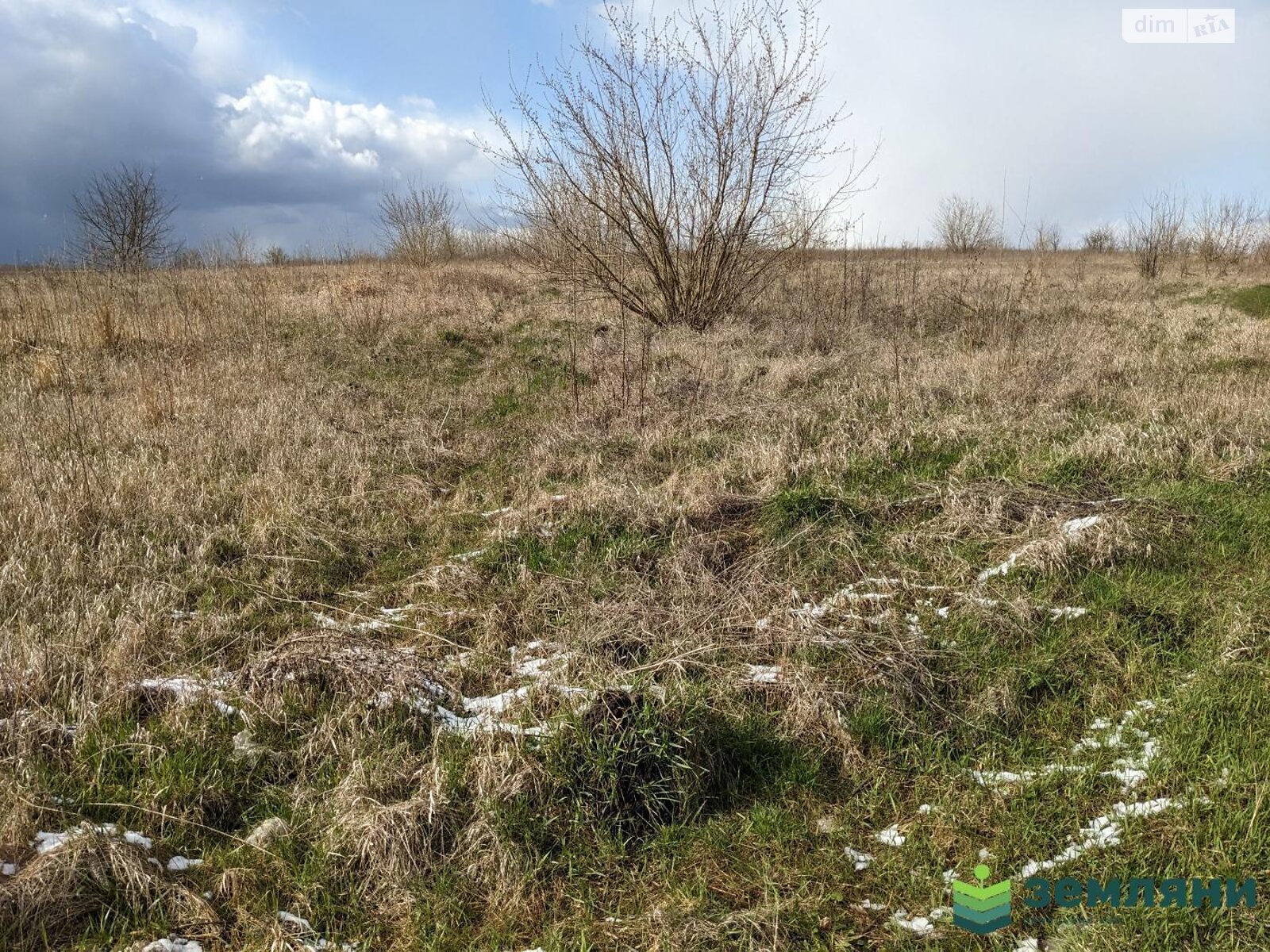 Земельна ділянка сільськогосподарського призначення в Тисмениці, площа 10 соток фото 1 Земельна ділянка сільськогосподарського призначення в Тисмениці, площа 10 соток фото 1