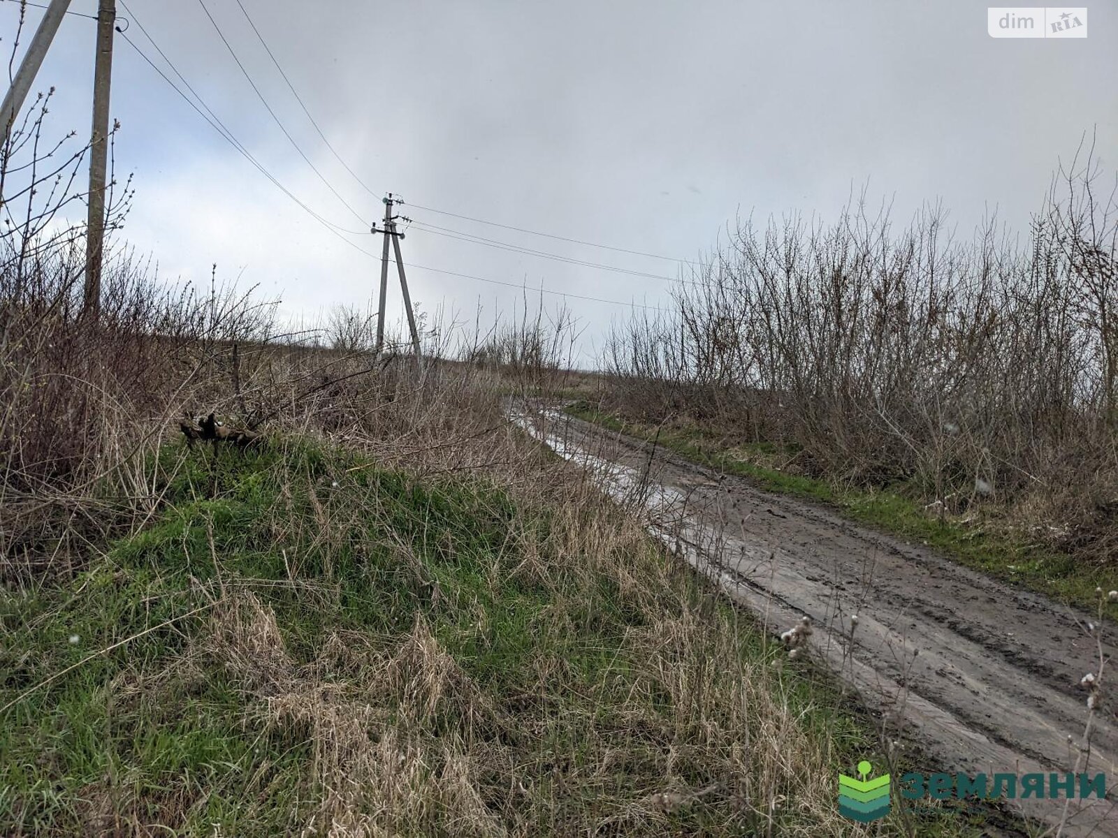 Земельна ділянка сільськогосподарського призначення в Тисмениці, площа 10 соток фото 1 Земельна ділянка сільськогосподарського призначення в Тисмениці, площа 10 соток фото 1
