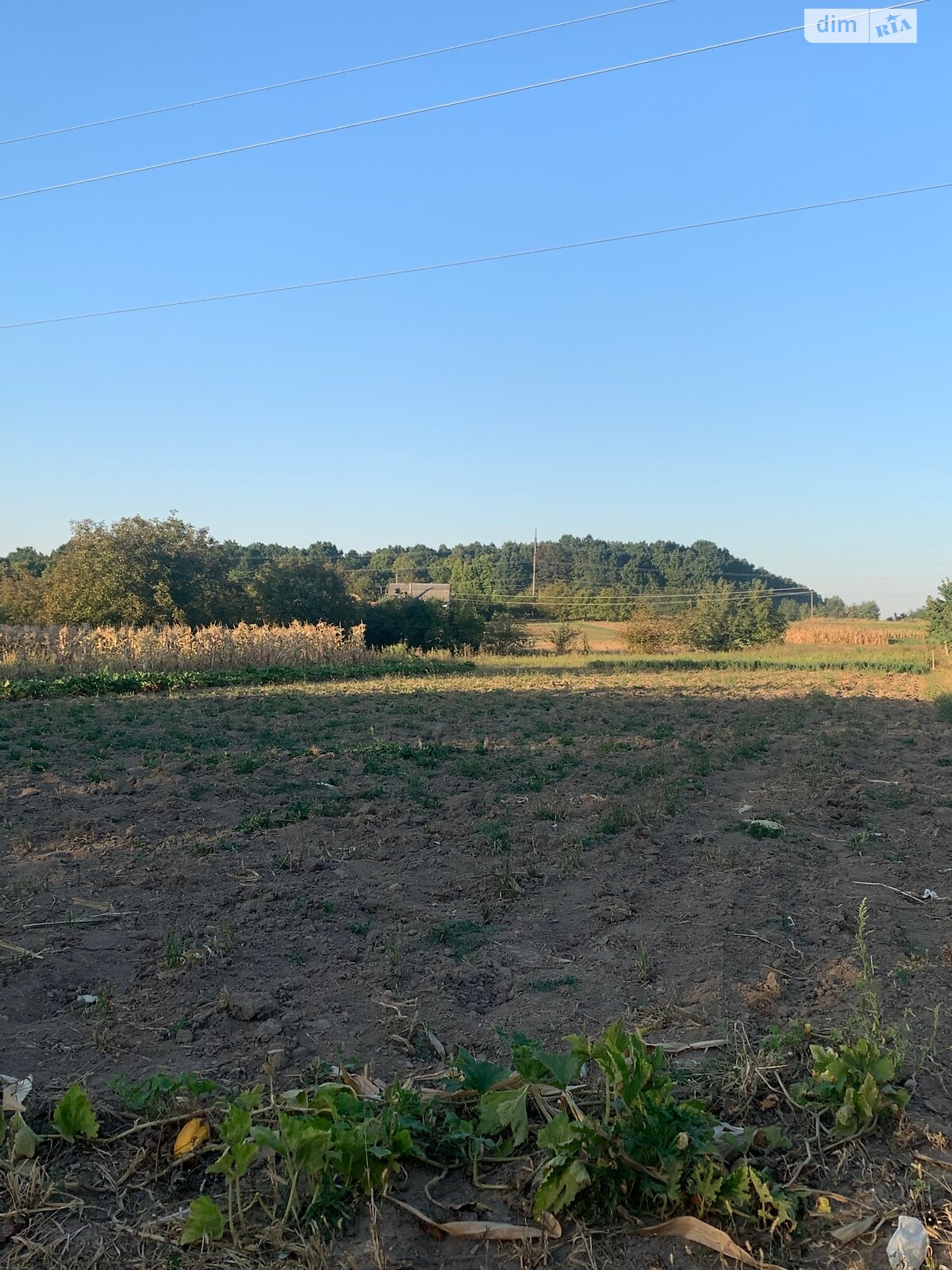 Земельный участок сельскохозяйственного назначения в Тютьках, площадь 12.64 сотки фото 1