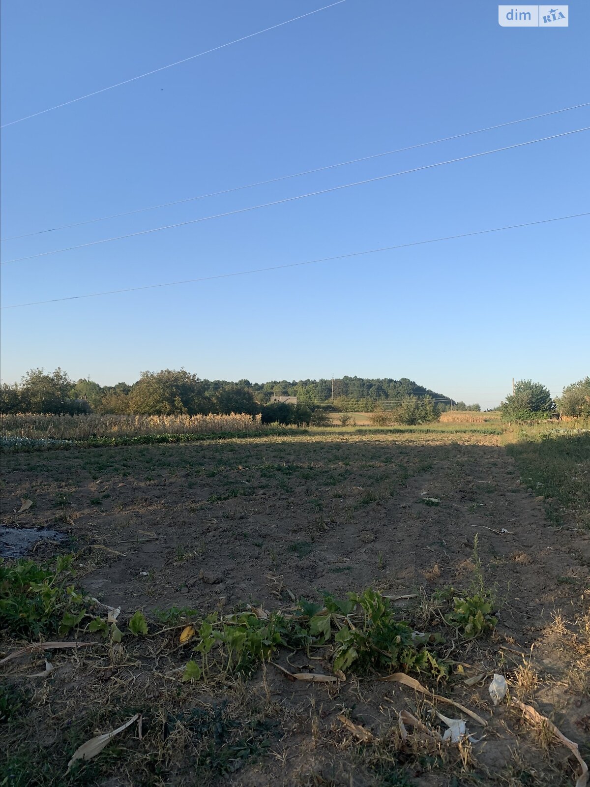 Земельный участок сельскохозяйственного назначения в Тютьках, площадь 12.64 сотки фото 1