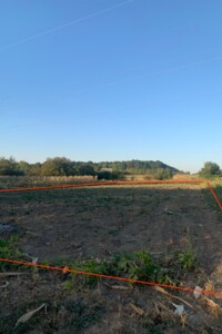 Земельный участок сельскохозяйственного назначения в Тютьках, площадь 12.64 сотки фото 2