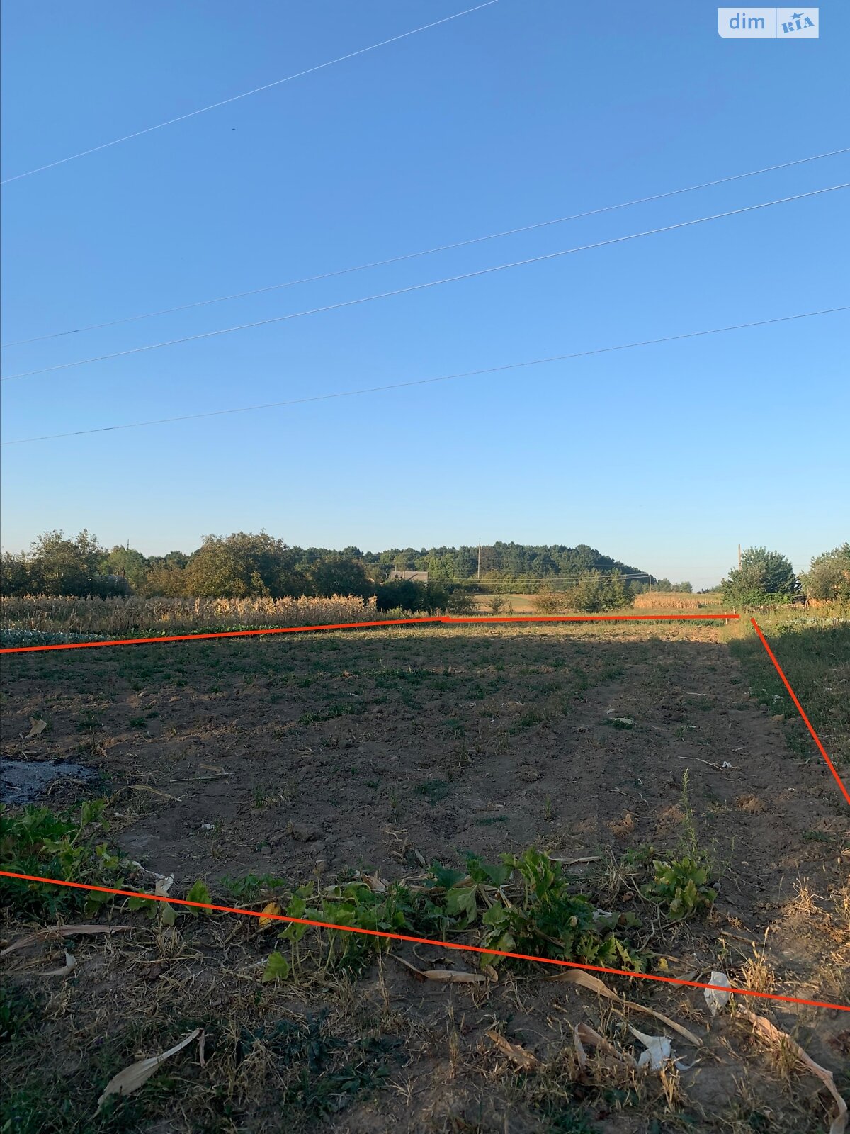 Земельный участок сельскохозяйственного назначения в Тютьках, площадь 12.64 сотки фото 1