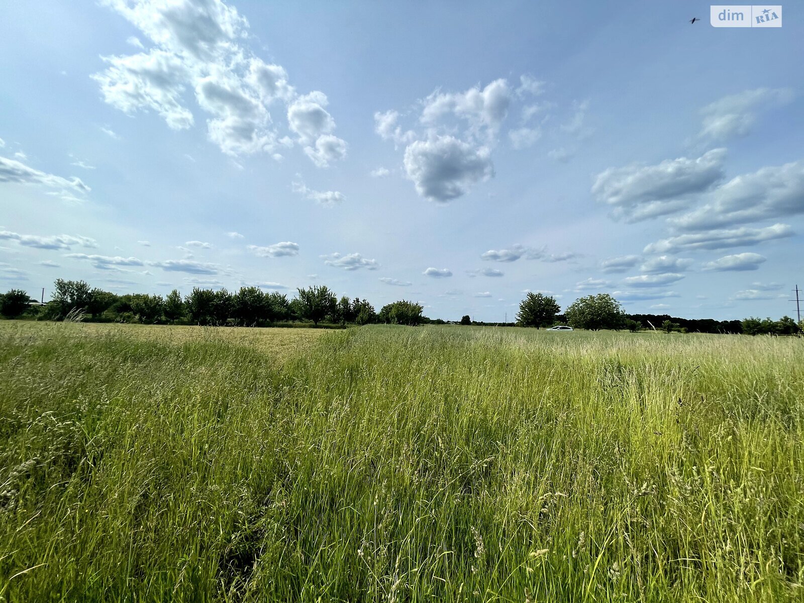 Земельный участок сельскохозяйственного назначения в Тютьках, площадь 20 соток фото 1
