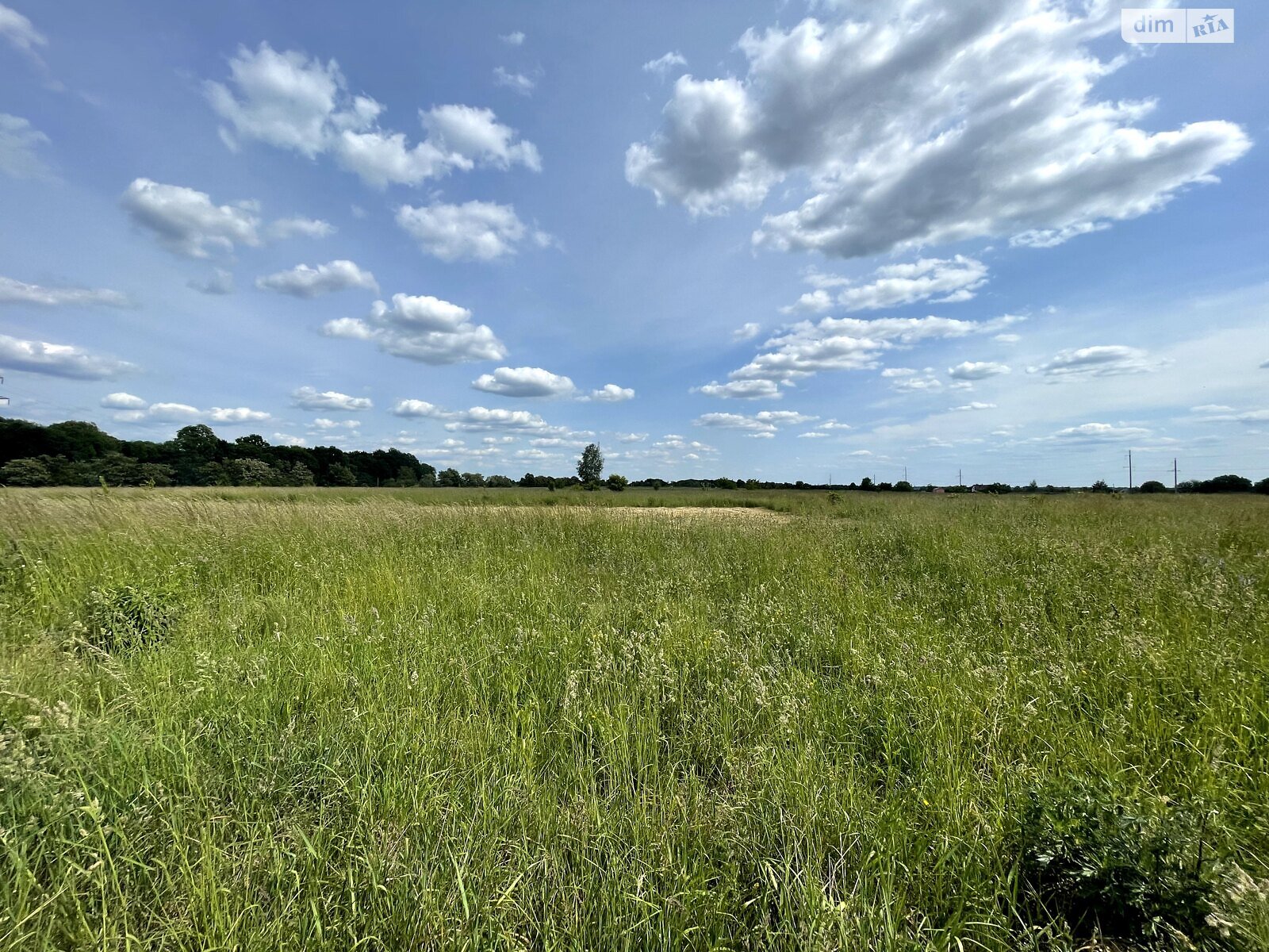 Земельный участок сельскохозяйственного назначения в Тютьках, площадь 20 соток фото 1