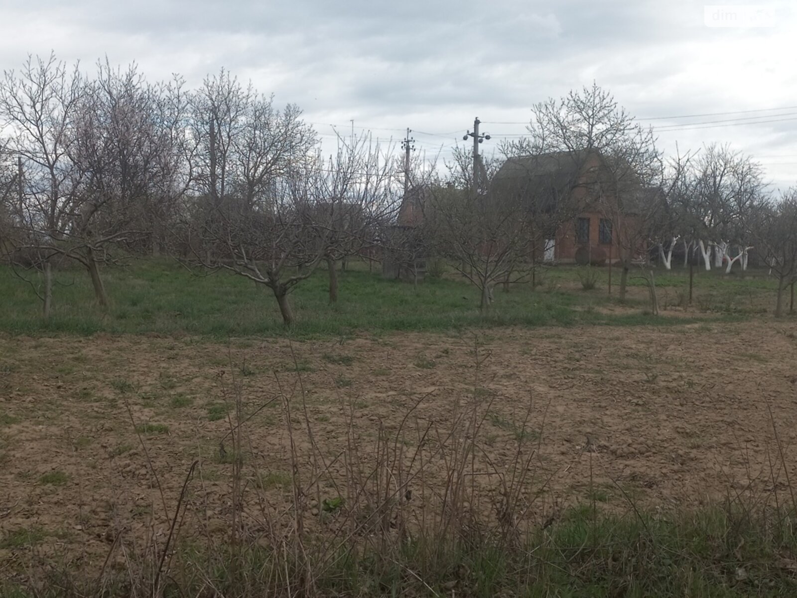 Земельный участок сельскохозяйственного назначения в Тютьках, площадь 8 соток фото 1