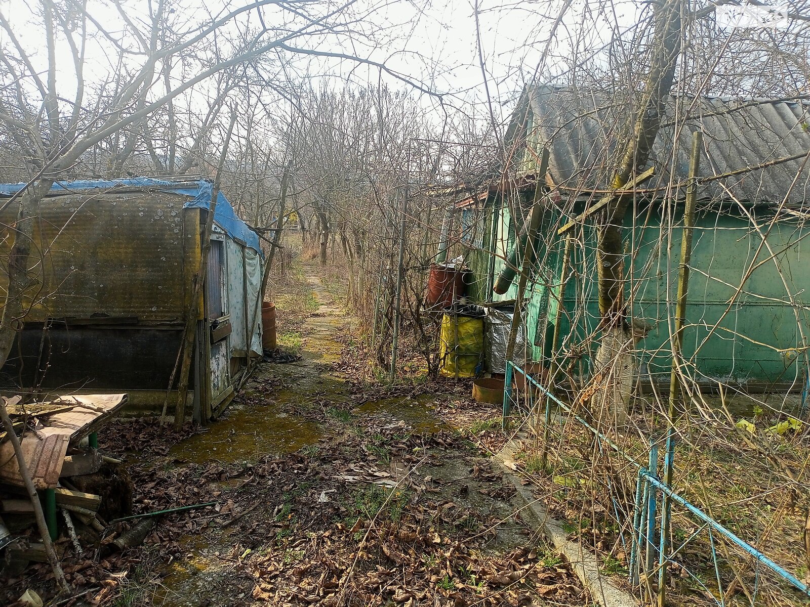 Земельный участок сельскохозяйственного назначения в Тютьках, площадь 0.0499 Га фото 1 Земельный участок сельскохозяйственного назначения в Тютьках, площадь 0.0499 Га фото 1