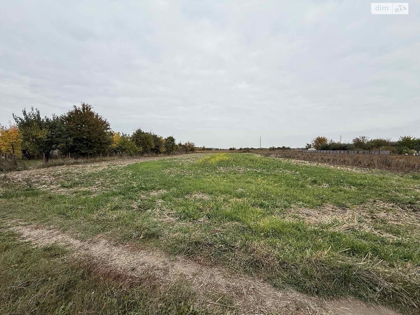 Земельна ділянка сільськогосподарського призначення в Тютьках, площа 13 соток фото 1