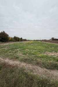 Земельна ділянка сільськогосподарського призначення в Тютьках, площа 13 соток фото 2