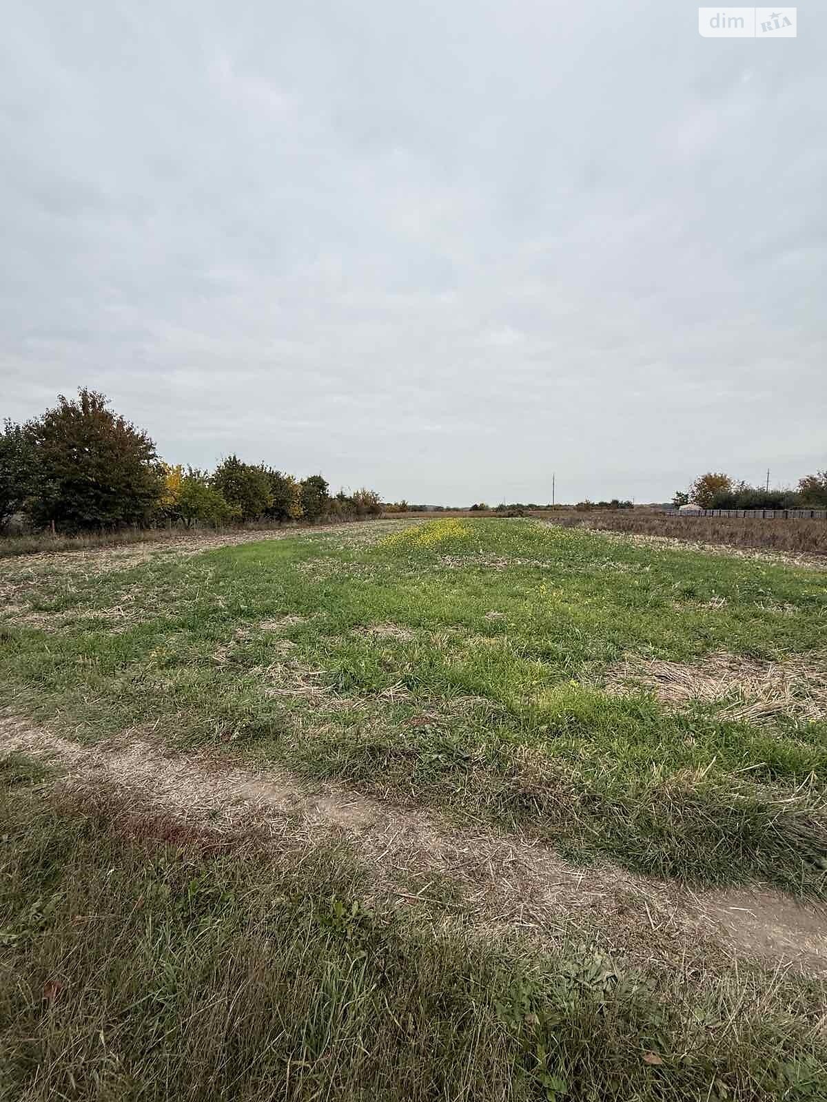 Земельна ділянка сільськогосподарського призначення в Тютьках, площа 13 соток фото 1