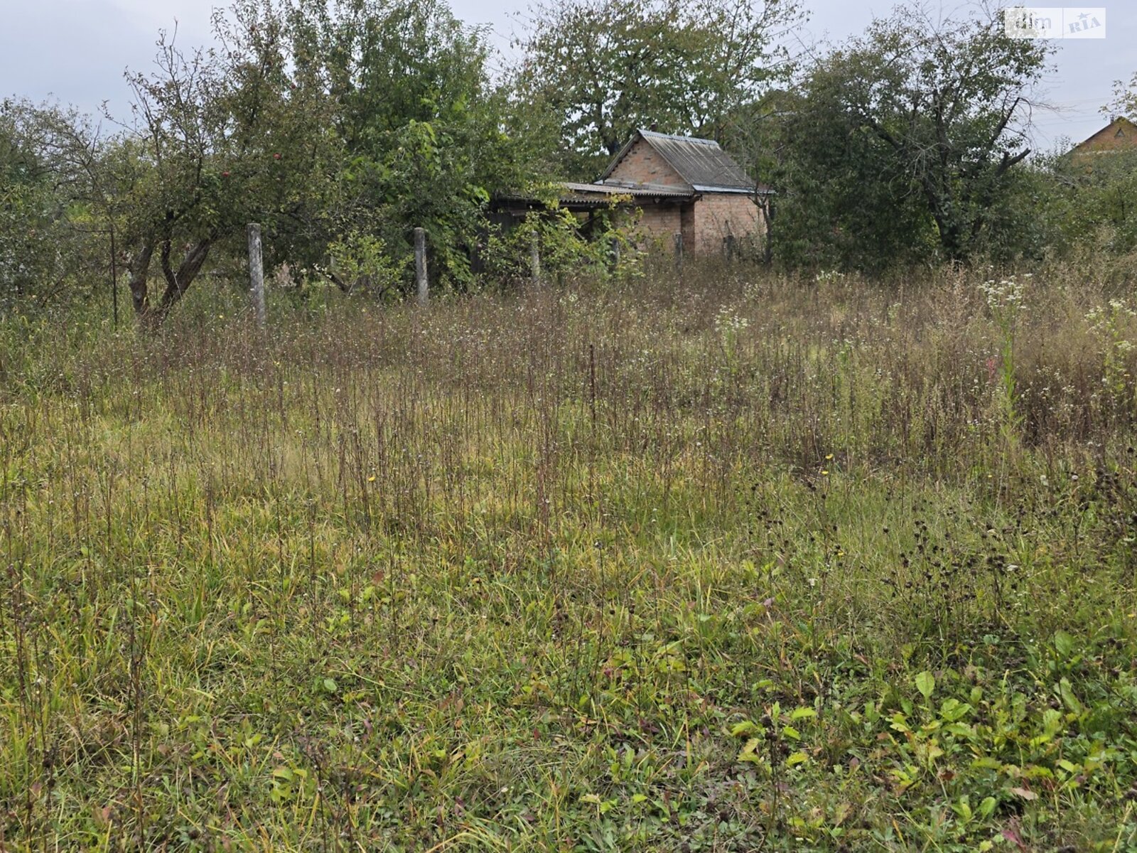 Земельный участок сельскохозяйственного назначения в Тютьках, площадь 5 соток фото 1 Земельный участок сельскохозяйственного назначения в Тютьках, площадь 5 соток фото 1