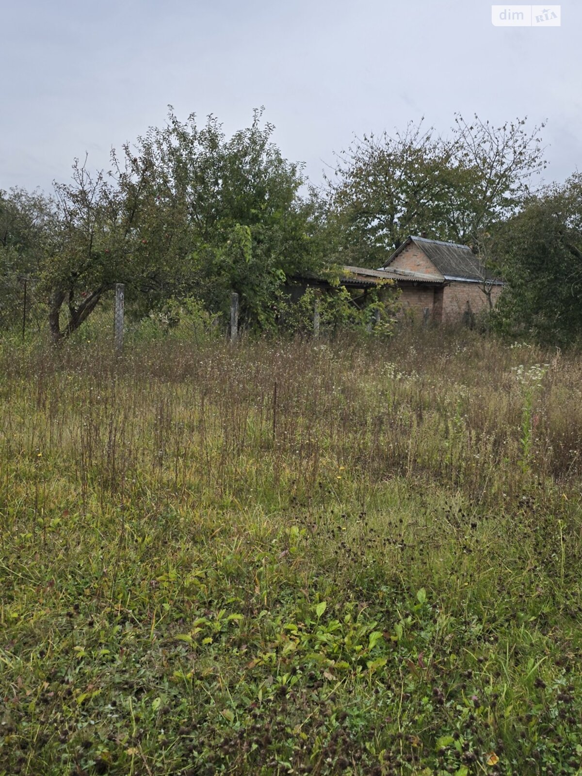 Земельный участок сельскохозяйственного назначения в Тютьках, площадь 5 соток фото 1 Земельный участок сельскохозяйственного назначения в Тютьках, площадь 5 соток фото 1